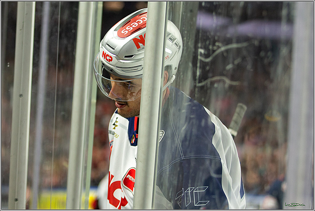 PENNY DEL; Koelner Haie- Nuernberger Ice Tigers; Koeln, 29.01.2023